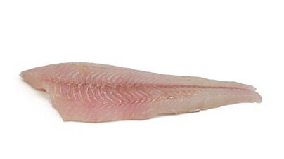Kingfish Filet Zonder Vel Ca 850 Gram