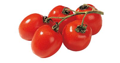 Tomaat Pomodori (Pruimtomaten)