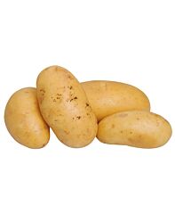 Aardappel Charlotte