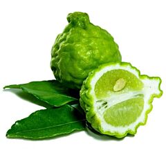 Limes Kaffir