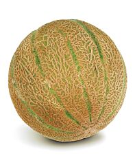 Meloen Cantaloupe Maat 5-6